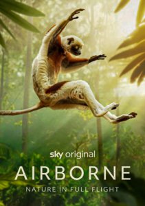 Рождённые летать, Сезон 1